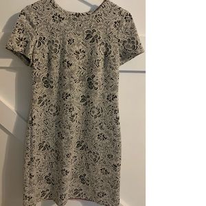 Calvin Klein Shift Dress, sz 6